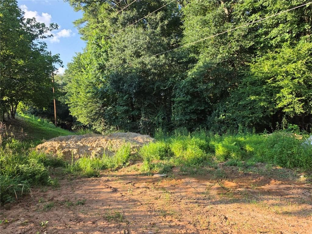 other for sale at 0 Maxham Road, Austell, GA 30168 — photo 4