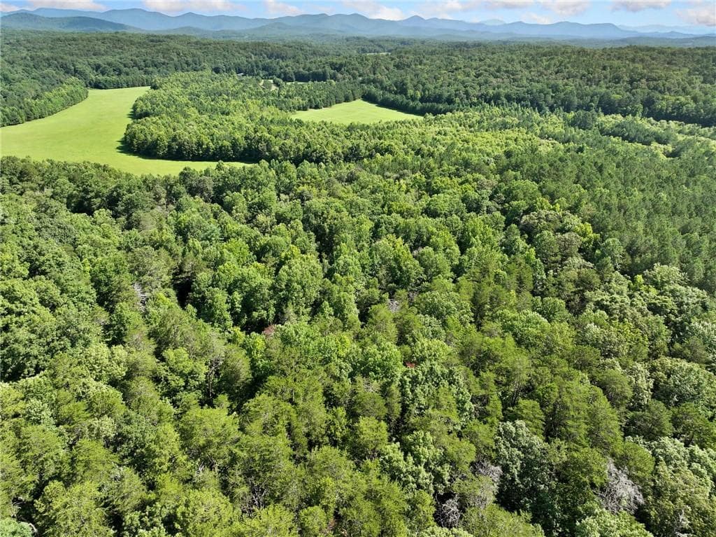 single family residence for sale at 525 Etula Drive, Dahlonega, GA 30533 — photo 5