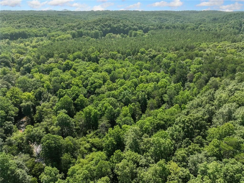 single family residence for sale at 525 Etula Drive, Dahlonega, GA 30533 — photo 6