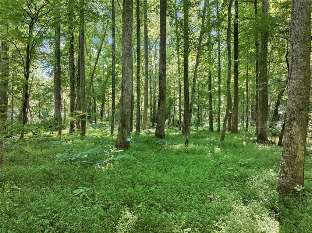 single family residence for sale at 525 Etula Drive, Dahlonega, GA 30533 — photo 9