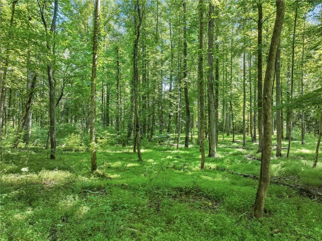 single family residence for sale at 525 Etula Drive, Dahlonega, GA 30533 — photo 10