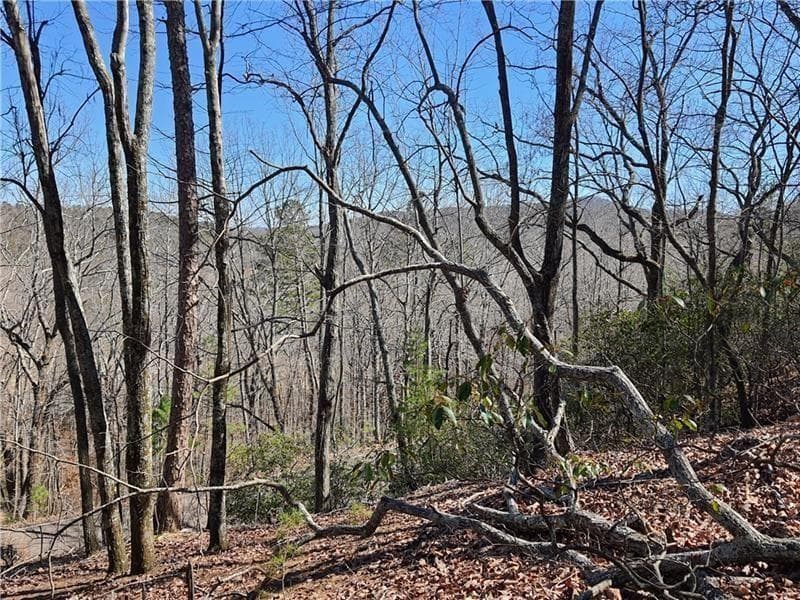 unimproved land for sale at 2538 Turnbury Lane, Jasper, GA 30143 — photo 8