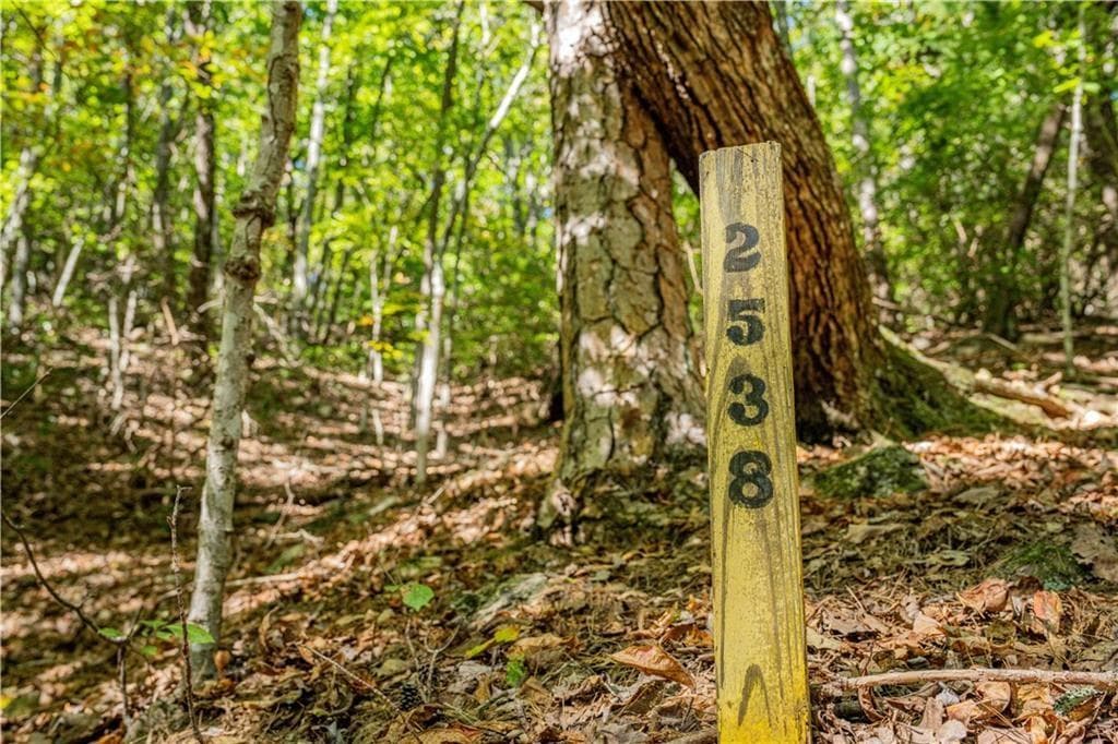 unimproved land for sale at 2538 Turnbury Lane, Jasper, GA 30143 — photo 9