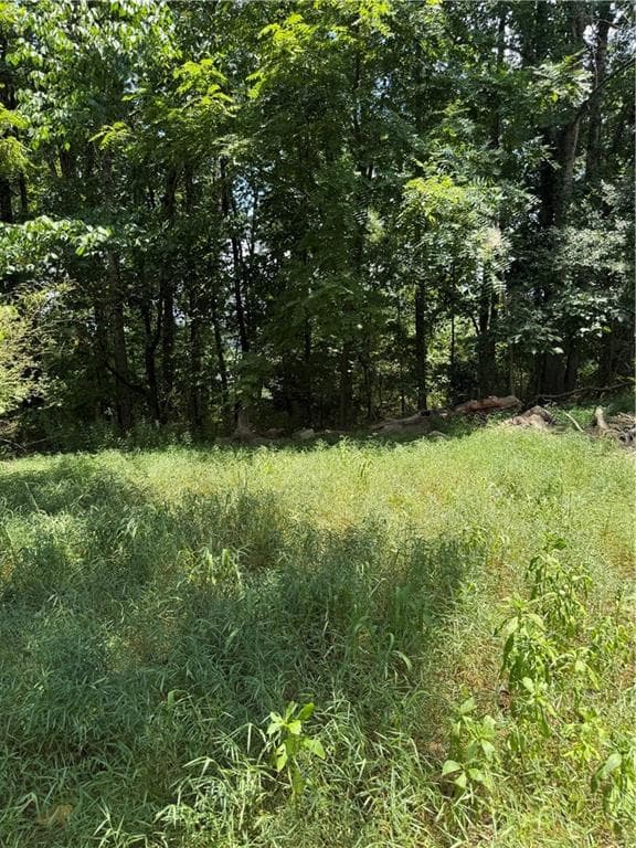 single family residence for sale at 217 Bagwell Garland Road, Canton, GA 30115 — photo 5