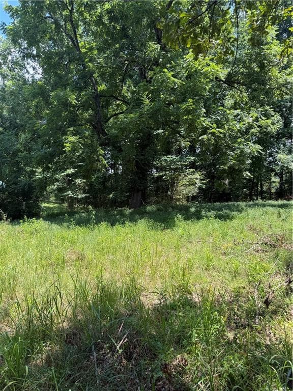 single family residence for sale at 217 Bagwell Garland Road, Canton, GA 30115 — photo 9