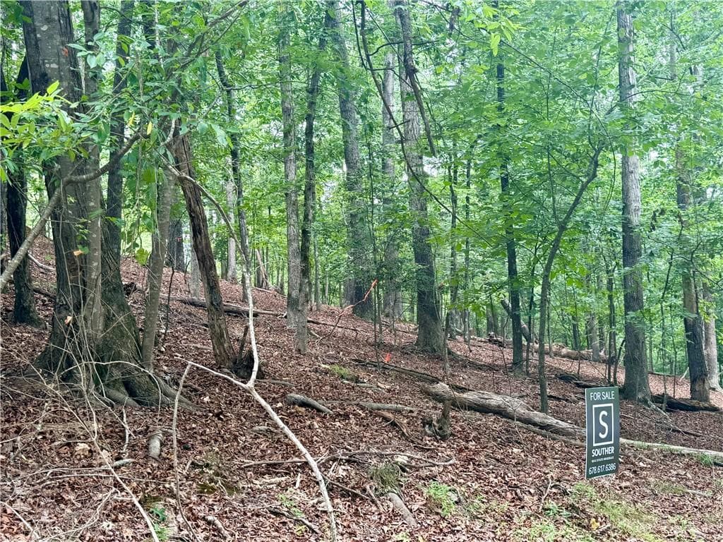 unimproved land for sale at 5563 Little River Circle, Gainesville, GA 30506 — photo 5