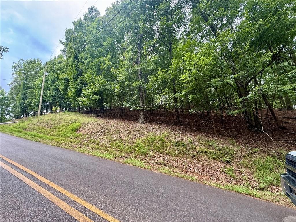 unimproved land for sale at 5563 Little River Circle, Gainesville, GA 30506 — photo 6