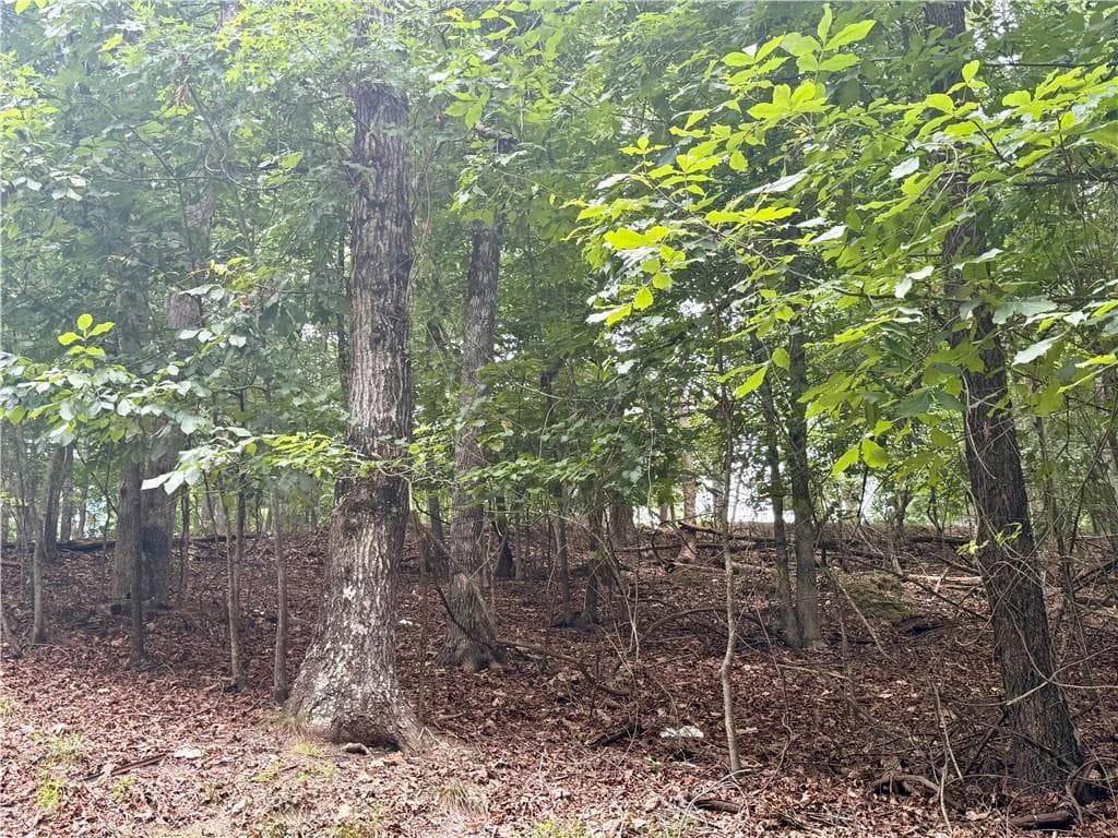 unimproved land for sale at 5563 Little River Circle, Gainesville, GA 30506 — photo 7