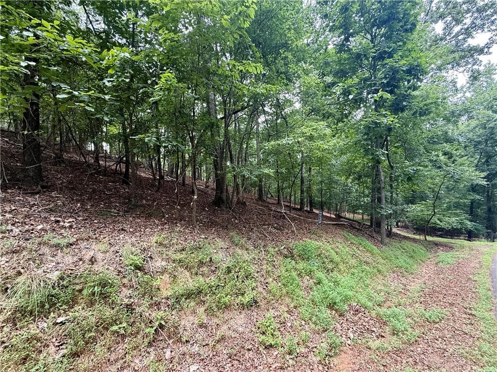unimproved land for sale at 5563 Little River Circle, Gainesville, GA 30506 — photo 8