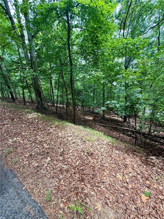 unimproved land for sale at 5563 Little River Circle, Gainesville, GA 30506 — photo 9