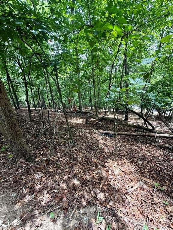 unimproved land for sale at 5563 Little River Circle, Gainesville, GA 30506 — photo 10