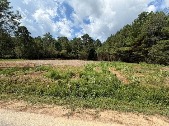 unimproved land for sale at 84 Popham Road Tract 2 & 3, Taylorsville, GA 30178 — photo 1 of 2