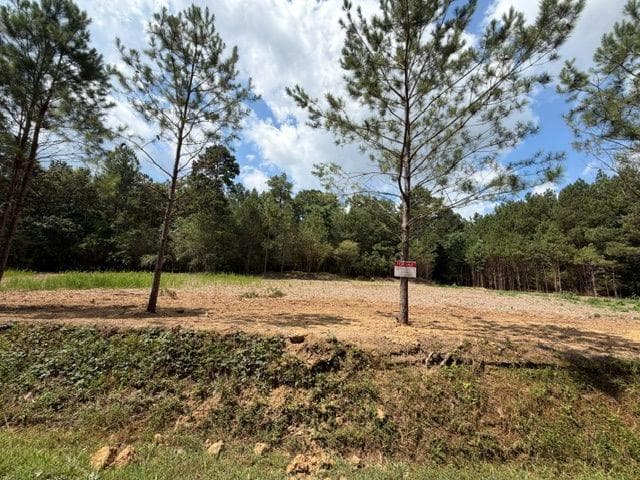 unimproved land for sale at 84 Popham Road Tract 1 & 2, Taylorsville, GA 30178 — photo 1 of 3