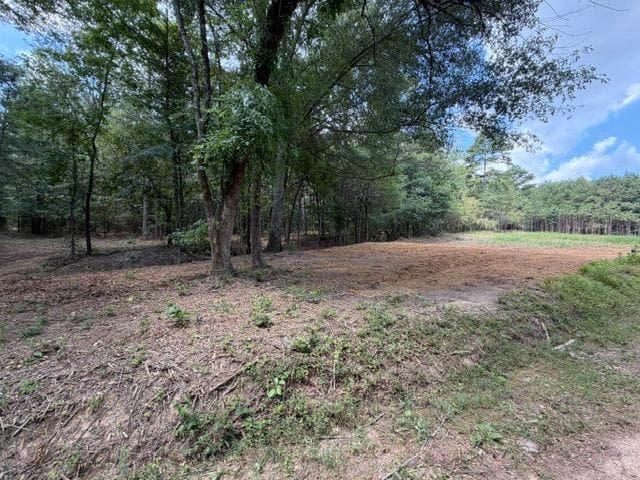 unimproved land for sale at 84 Popham Road Tract 1 & 2, Taylorsville, GA 30178 — photo 2