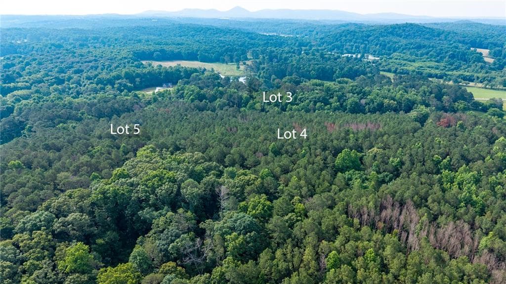 4 bedroom, 4 bathroom, 3,366 sq ft single family residence for sale at Lot 3 Highway 136 Connector, Talking Rock, GA 30175 — photo 4