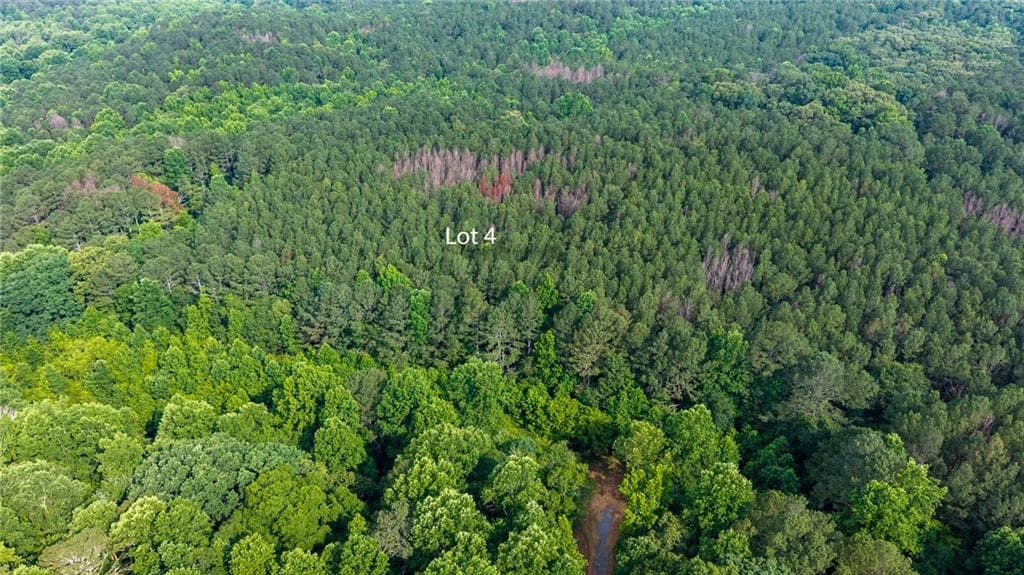 4 bedroom, 3 bathroom, 2,092 sq ft single family residence for sale at Lot 4 136 Highway 136 Connector, Talking Rock, GA 30175 — photo 8