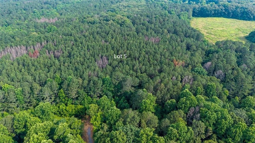 3 bedroom, 3 bathroom, 1,891 sq ft single family residence for sale at Lot 5 Highway 136 Connector, Talking Rock, GA 30175 — photo 5