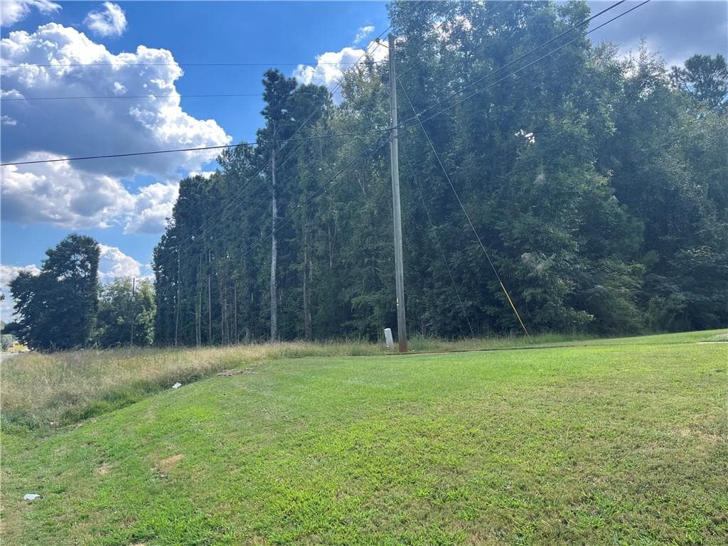 unimproved land for sale at 0 Highway 155, Stockbridge, GA 30281 — photo 4