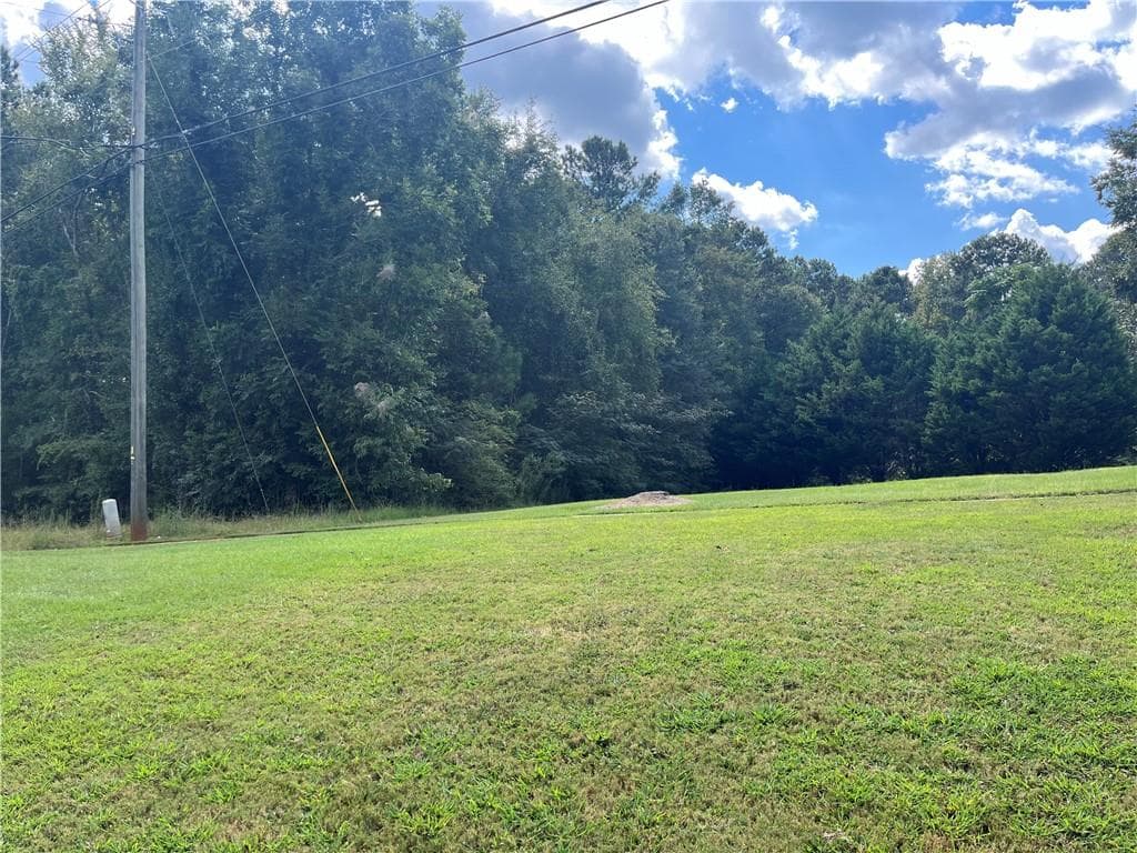 unimproved land for sale at 0 Highway 155, Stockbridge, GA 30281 — photo 5