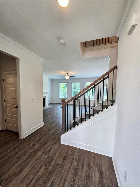 5 bedroom, 4 bathroom single family residence for rent at 7372 Rocklin Lane, Flowery Branch, GA 30542 for $2,800 a month — photo 5