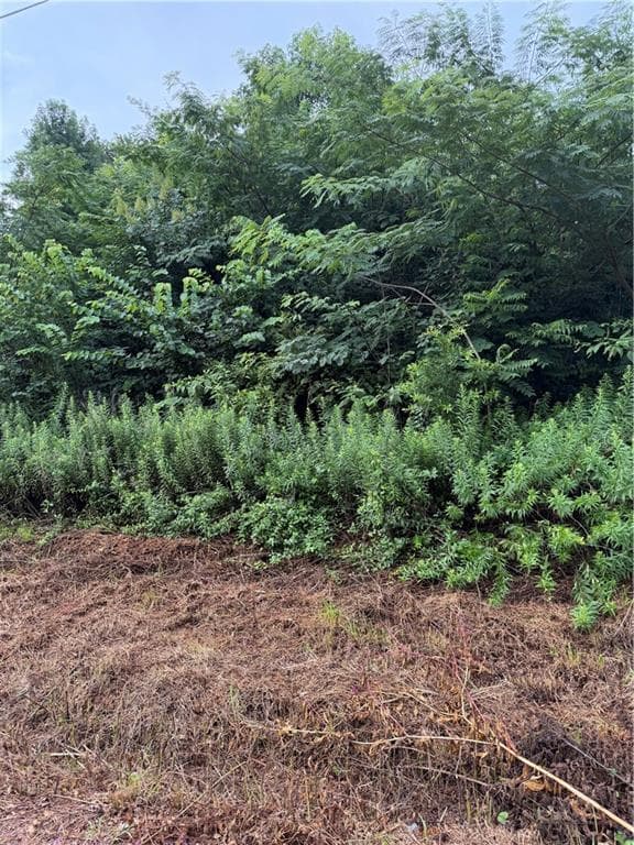 unimproved land for sale at 539 Oakhurst Drive, Marietta, GA 30066 — photo 4