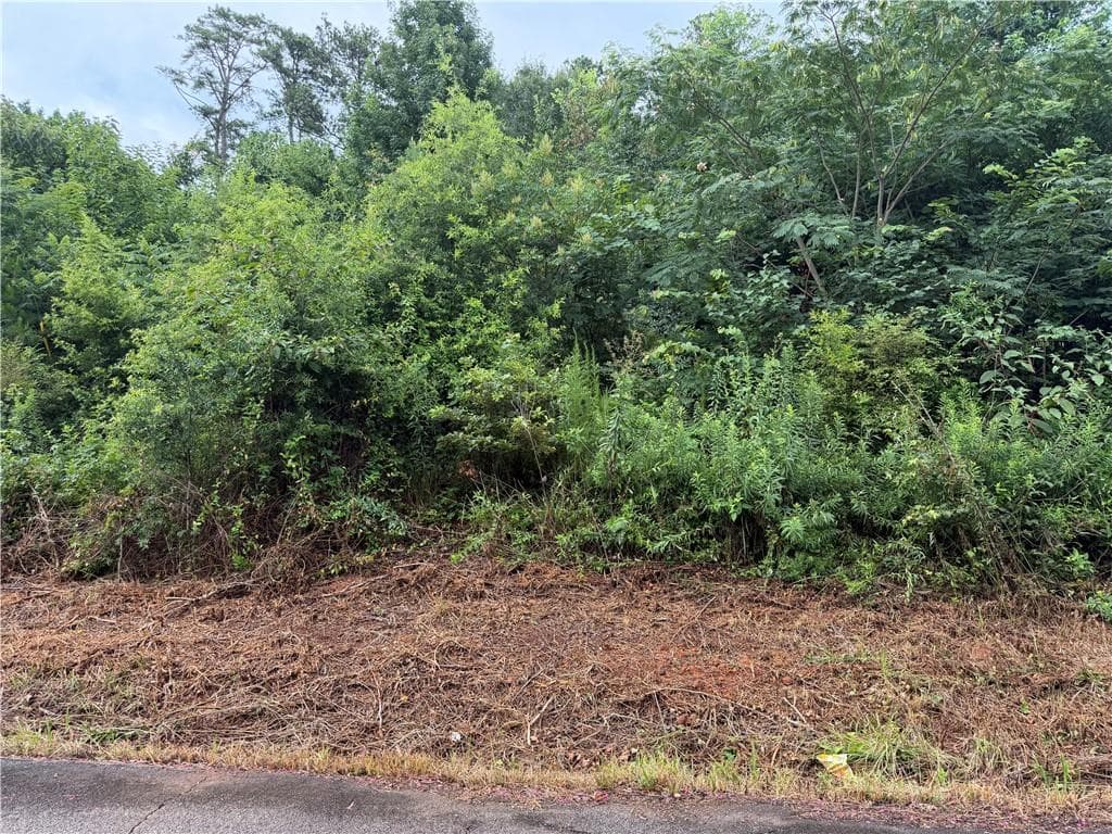 unimproved land for sale at 539 Oakhurst Drive, Marietta, GA 30066 — photo 6