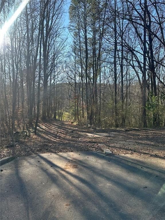 unimproved land for sale at 0 Collier Street, Covington, GA 30014 — photo 1 of 12
