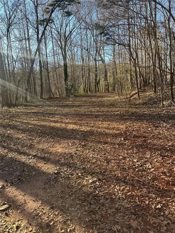 unimproved land for sale at 0 Collier Street, Covington, GA 30014 — photo 3