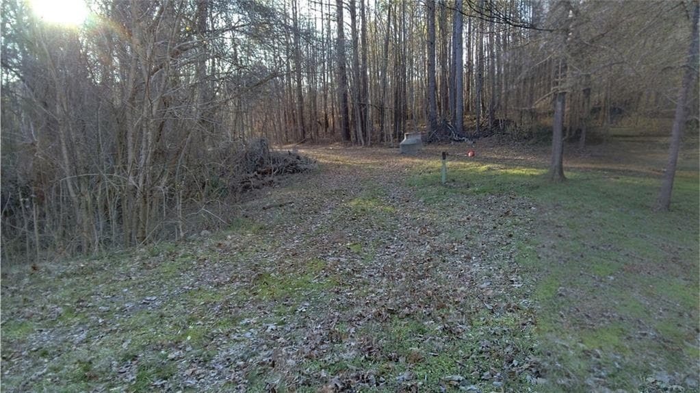 unimproved land for sale at 0 Collier Street, Covington, GA 30014 — photo 4