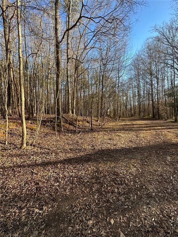unimproved land for sale at 0 Collier Street, Covington, GA 30014 — photo 5