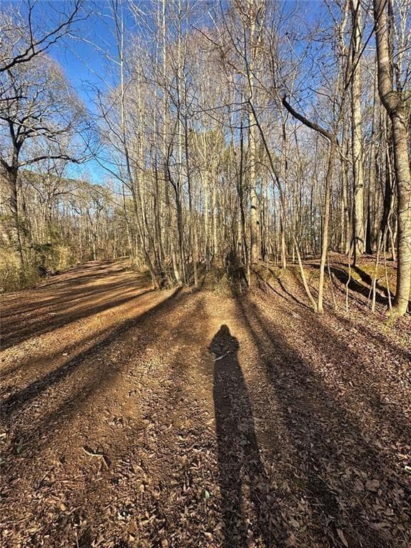 unimproved land for sale at 0 Collier Street, Covington, GA 30014 — photo 6