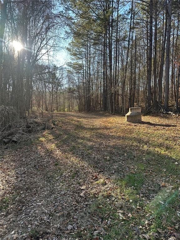 unimproved land for sale at 0 Collier Street, Covington, GA 30014 — photo 8