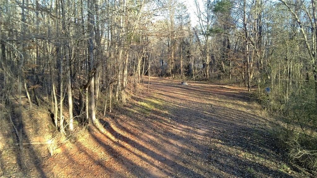 unimproved land for sale at 0 Collier Street, Covington, GA 30014 — photo 9
