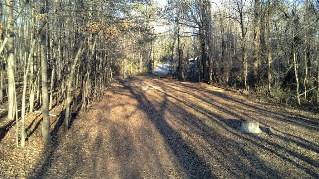 unimproved land for sale at 0 Collier Street, Covington, GA 30014 — photo 10