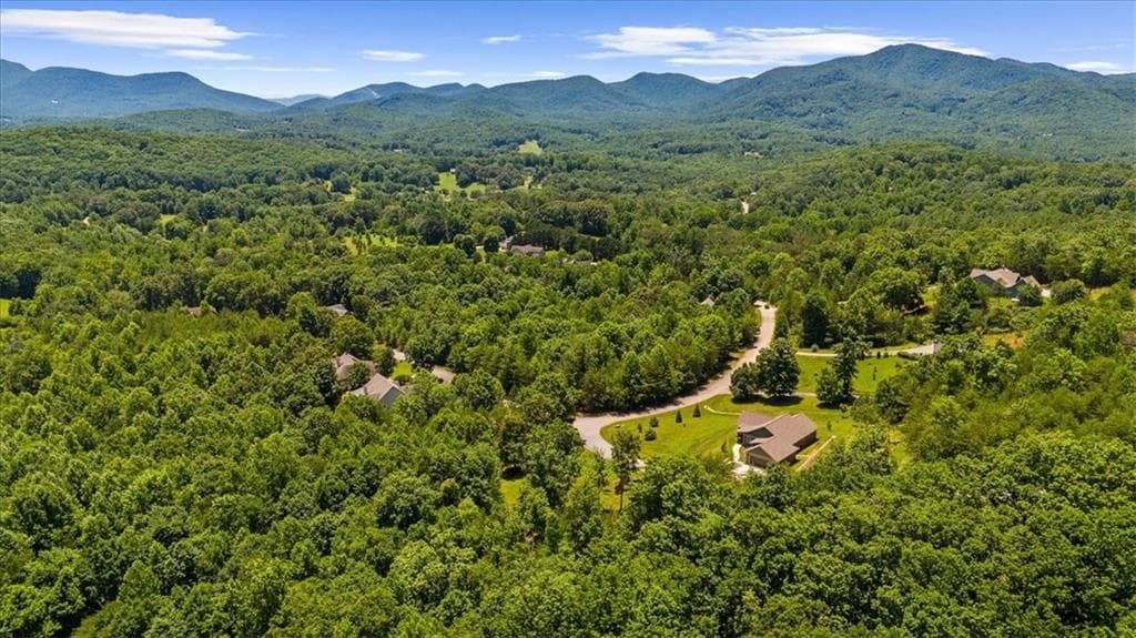 single family residence for sale at 2434 Standing Meadow Dr-Lot, Young Harris, GA 30582 — photo 9