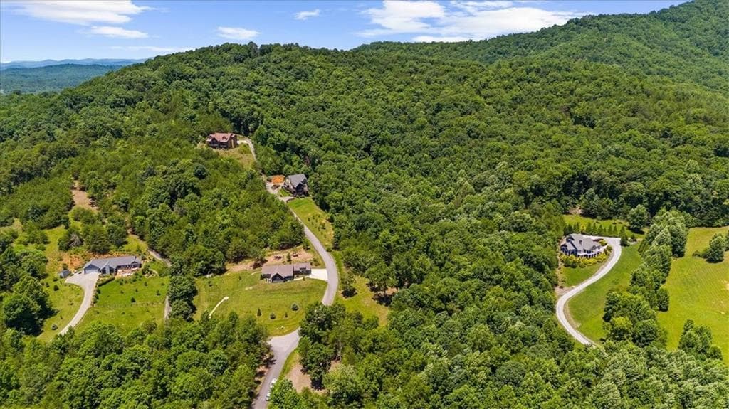 single family residence for sale at 2434 Standing Meadow Dr-Lot, Young Harris, GA 30582 — photo 5