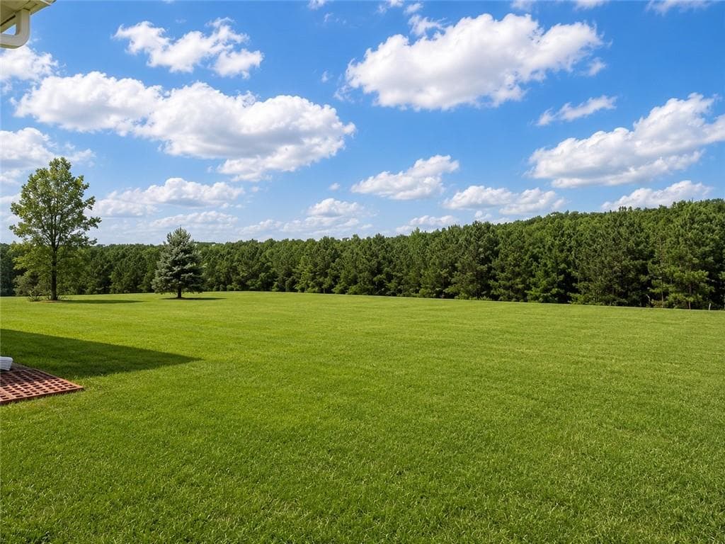 3 bedroom, 3 bathroom, 1,683 sq ft single family residence for sale at 139 Swallowtail Lane, Homer, GA 30547 — photo 4