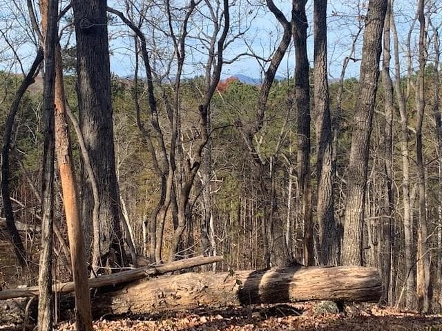 single family residence under contract at 0 Auraria Ridge, Dawsonville, GA 30534 — photo 3
