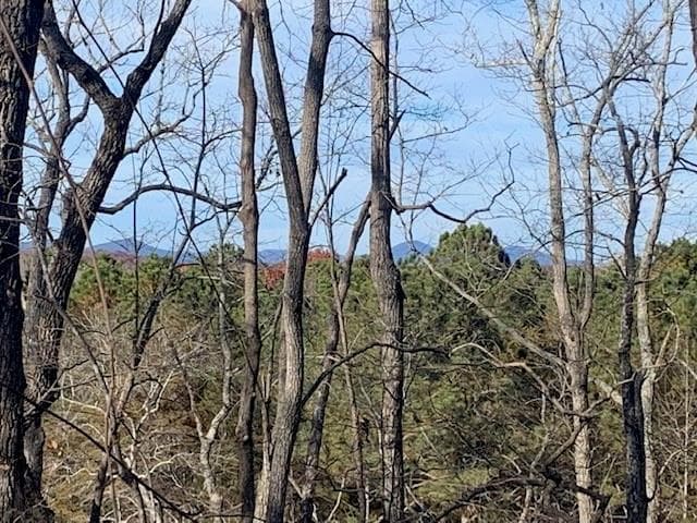 single family residence under contract at 0 Auraria Ridge, Dawsonville, GA 30534 — photo 5