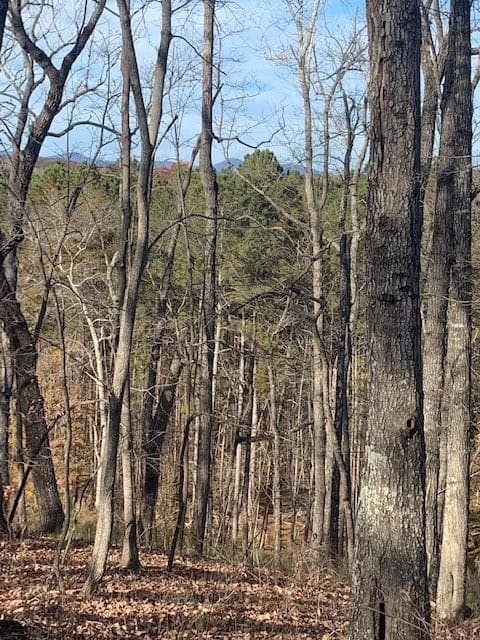 single family residence under contract at 0 Auraria Ridge, Dawsonville, GA 30534 — photo 6