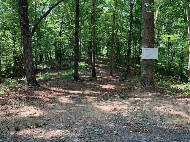 single family residence under contract at 0 Auraria Ridge, Dawsonville, GA 30534 — photo 9