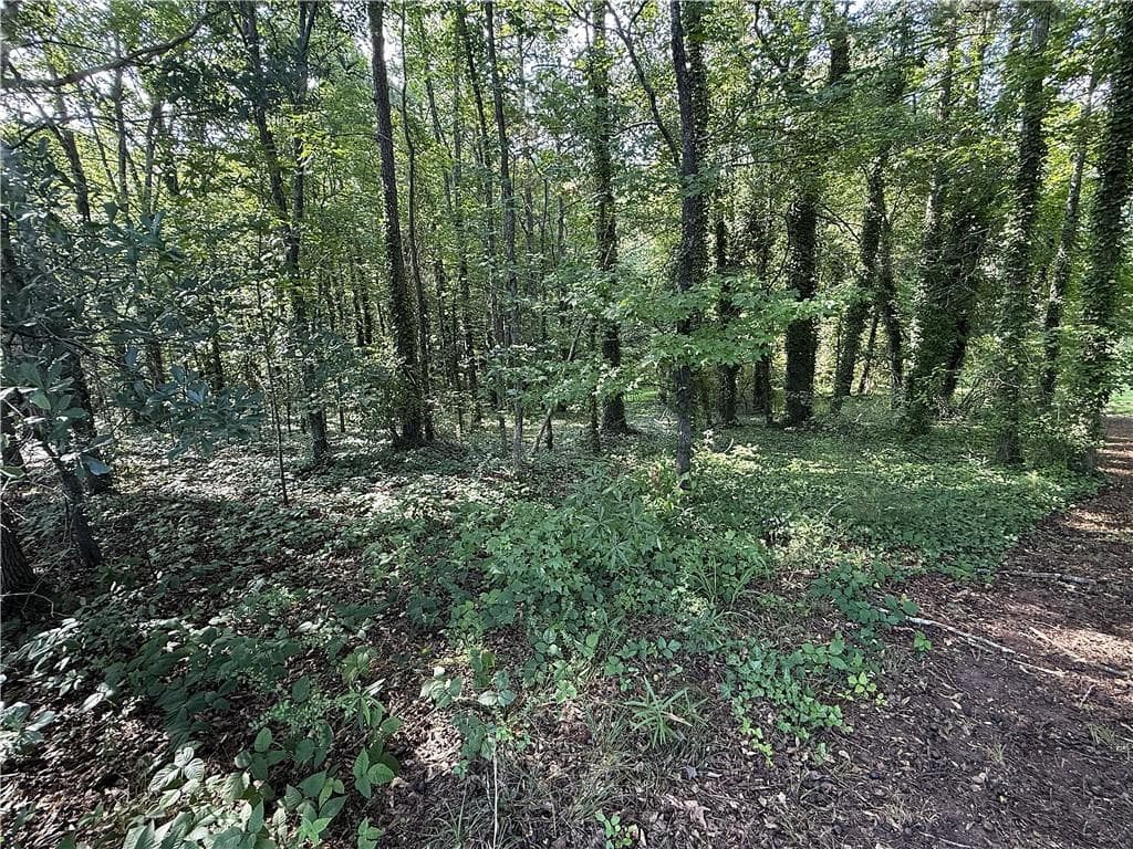 unimproved land for sale at 0 Boxer Lane, Cumming, GA 30028 — photo 1 of 7