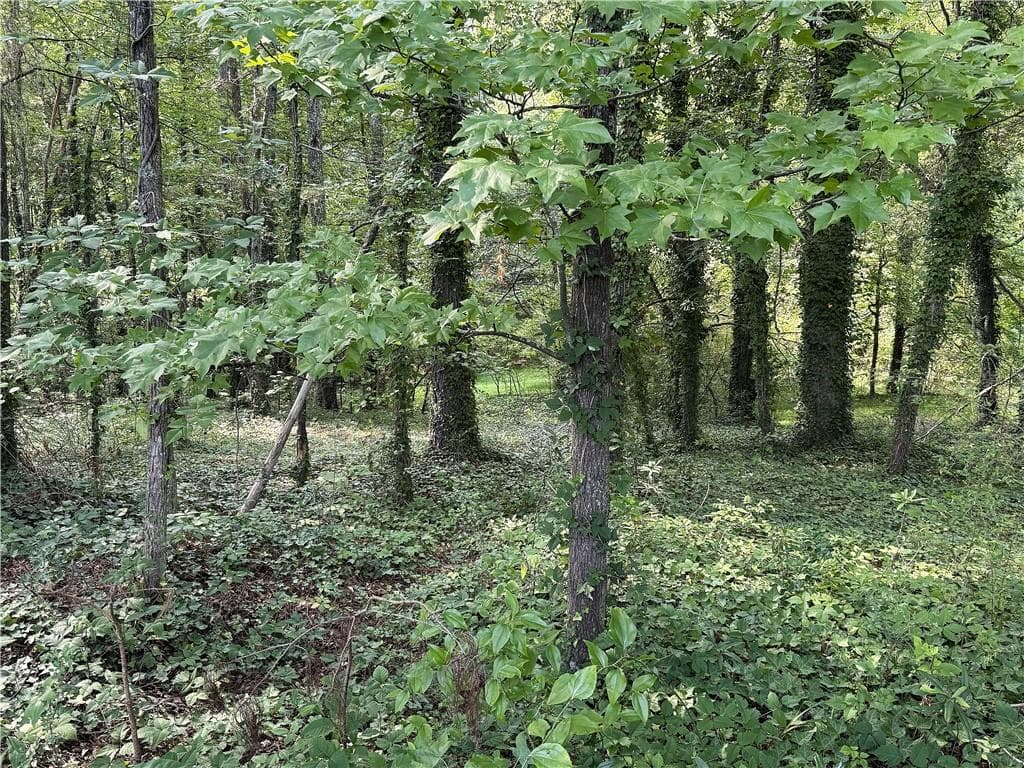 unimproved land for sale at 0 Boxer Lane, Cumming, GA 30028 — photo 2