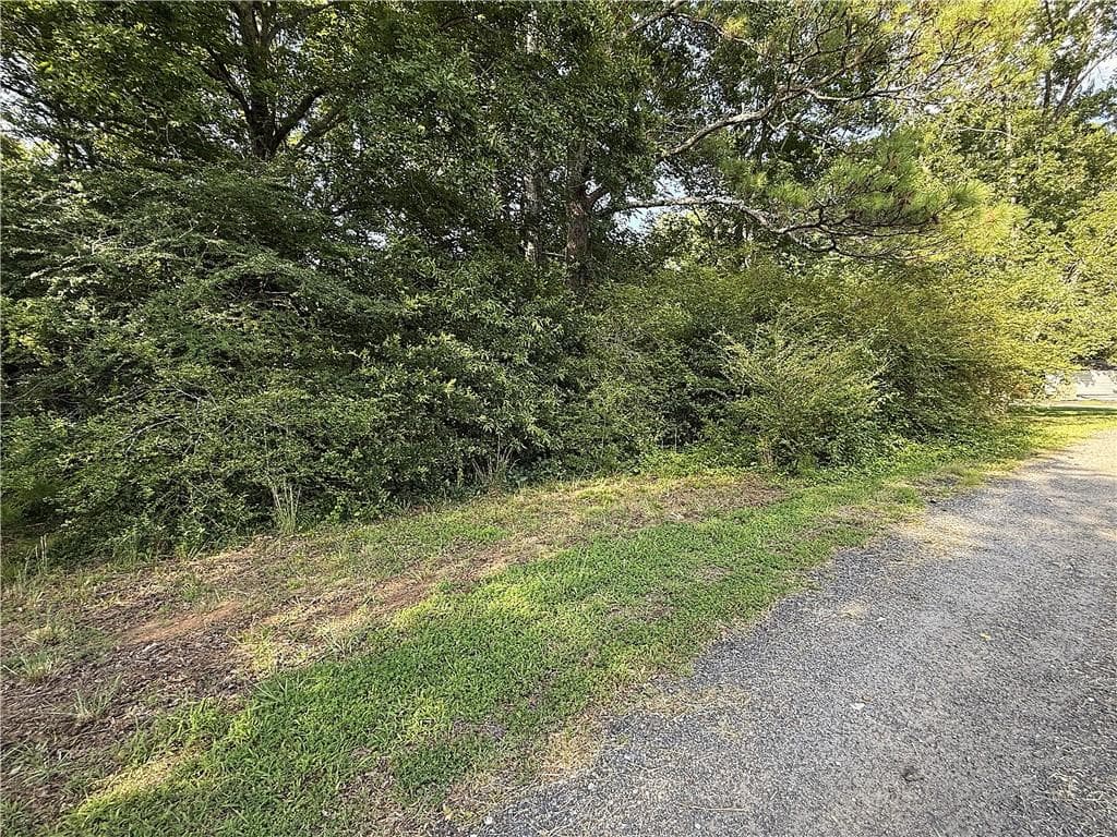 unimproved land for sale at 0 Boxer Lane, Cumming, GA 30028 — photo 4