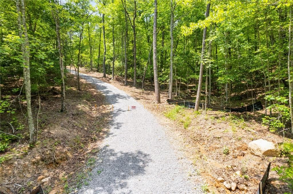 single family residence for sale at 0 Possum Poke Road, Ellijay, GA 30536 — photo 6