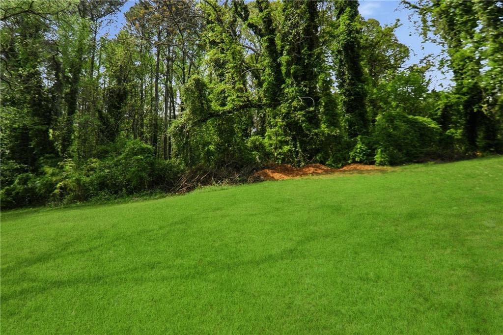 other for sale at 0 Anderson Terrace, Snellville, GA 30039 — photo 5