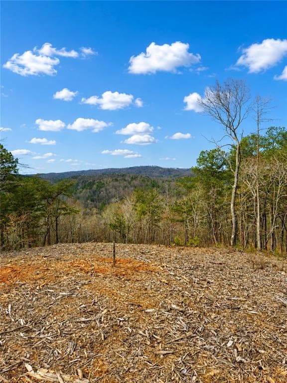 single family residence for sale at 0 Canoe Way, Talking Rock, GA 30175 — photo 2