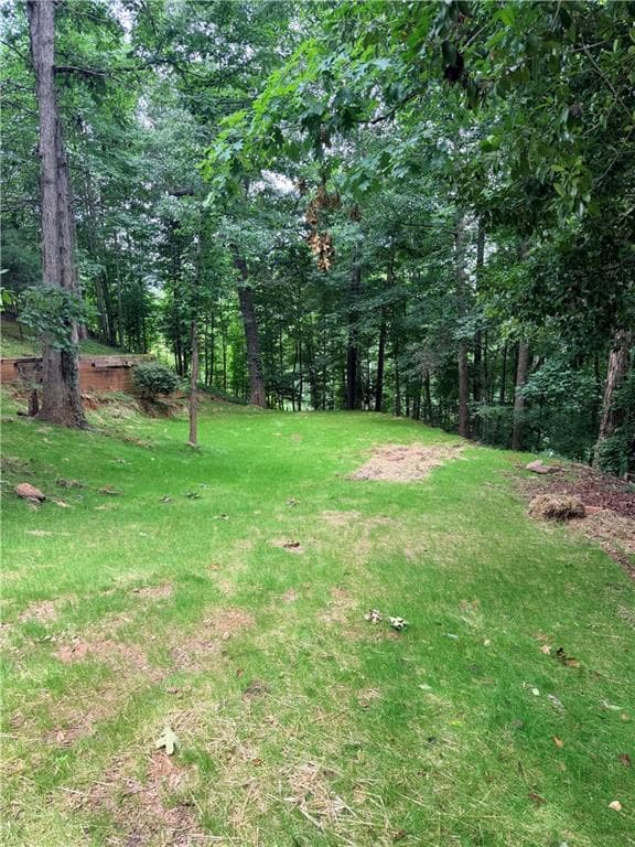 unimproved land for sale at 6177 Timberidge Drive, Gainesville, GA 30506 — photo 4