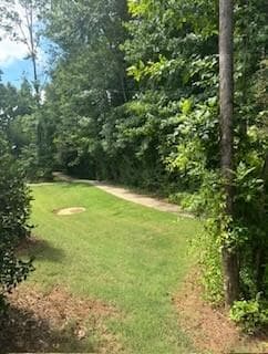 3 bedroom, 3 bathroom, 1,876 sq ft townhouse for sale at 79 Portico Place, Newnan, GA 30265 — photo 2