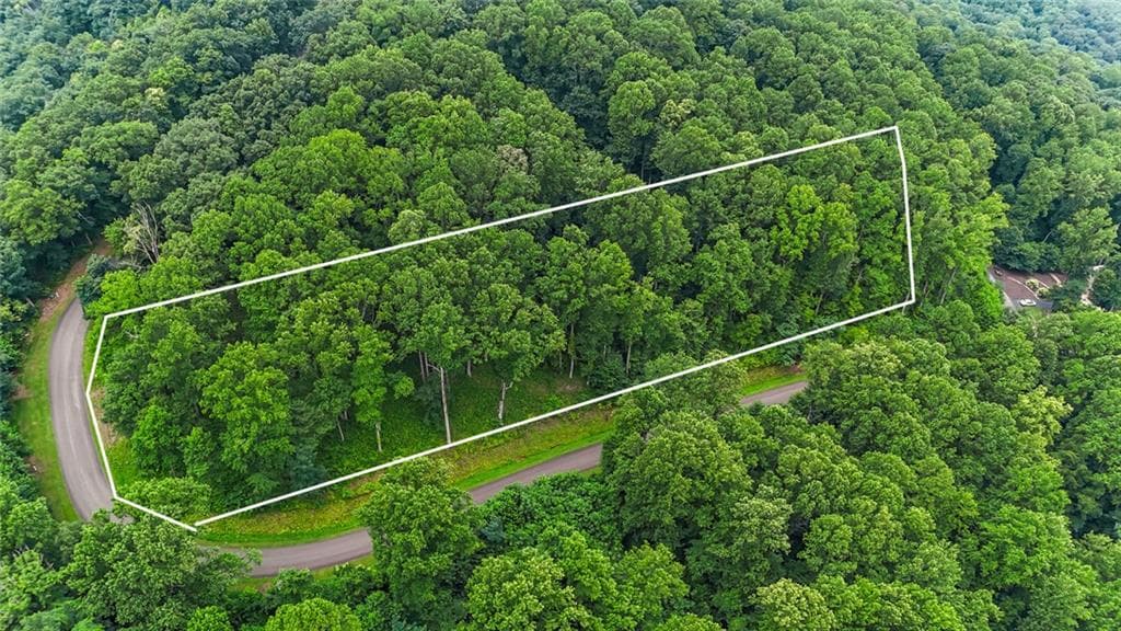 unimproved land for sale at LT 296 Andes Ridge, Ellijay, GA 30536 — photo 3